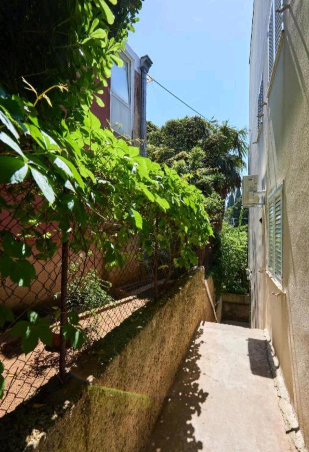 Studio Apartment Ivana - New Sweet Apartment Dubrovnik Eksteriør billede